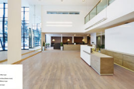 newrevolutiondiagram